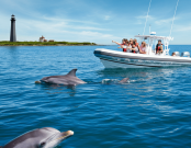 A realistic image of a dolphin tour near Tybee Island, featuring a medium-sized tour boat with families and friends watching dolphins leaping in clear blue waters, with Tybee Island’s shoreline, palm trees, and Cockspur Island Lighthouse in the background under a sunny sky.